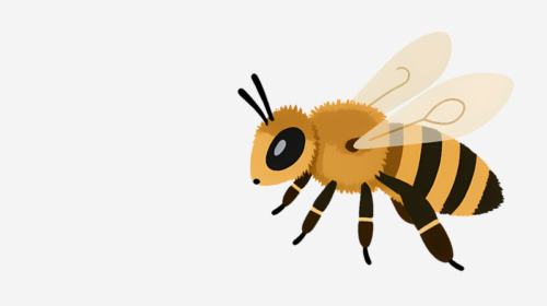 abeille