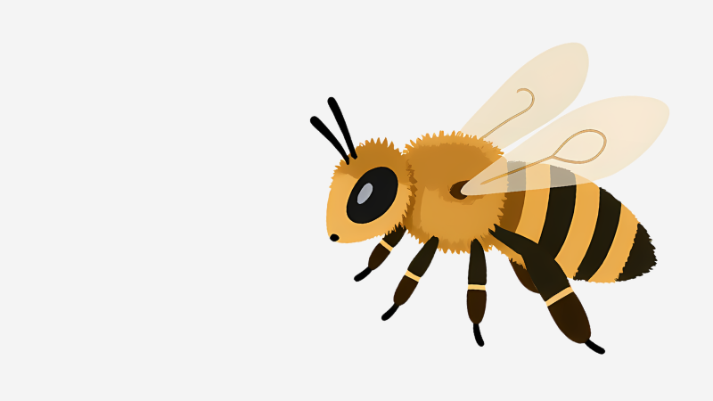 abeille